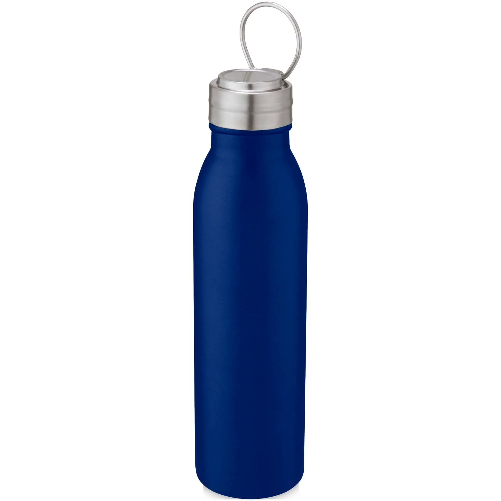 Harper 700 ml stainless steel water bottle with metal loop