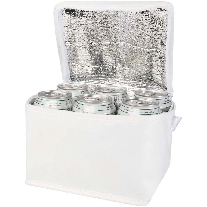 Spectrum 6-can recycled non-woven cooler bag 4L