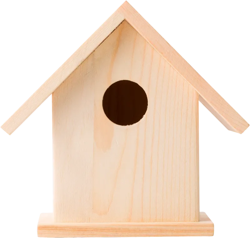 Bird house with painting set