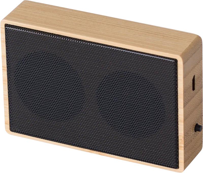 Wireless speaker