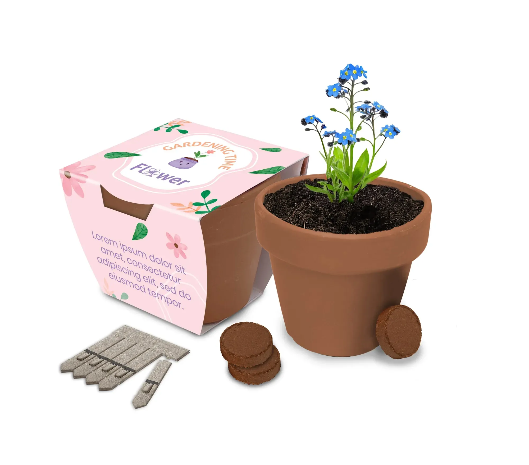 Large Clay Pot Gardens