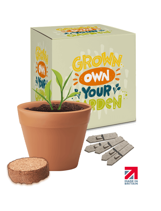 Boxed Pot Seed Gardens