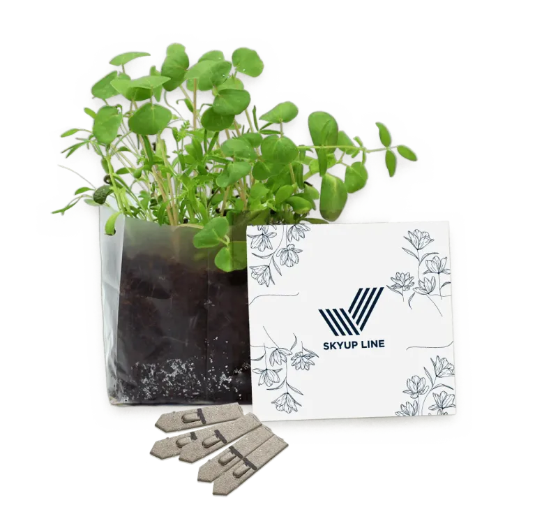 Letterbox Seed Gardens