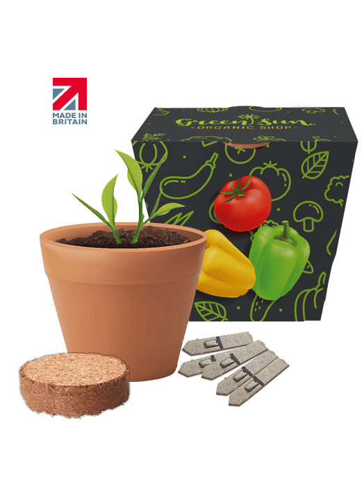 Recycled Pot Seed Gardens