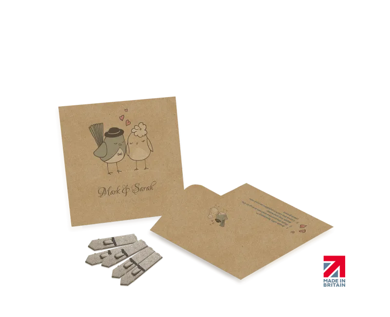 Small Seed Packet Envelopes - Kraft