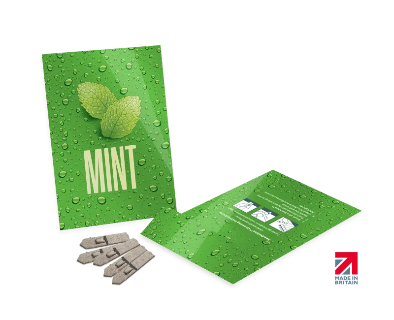 Medium Seed Packet Envelopes - Gloss