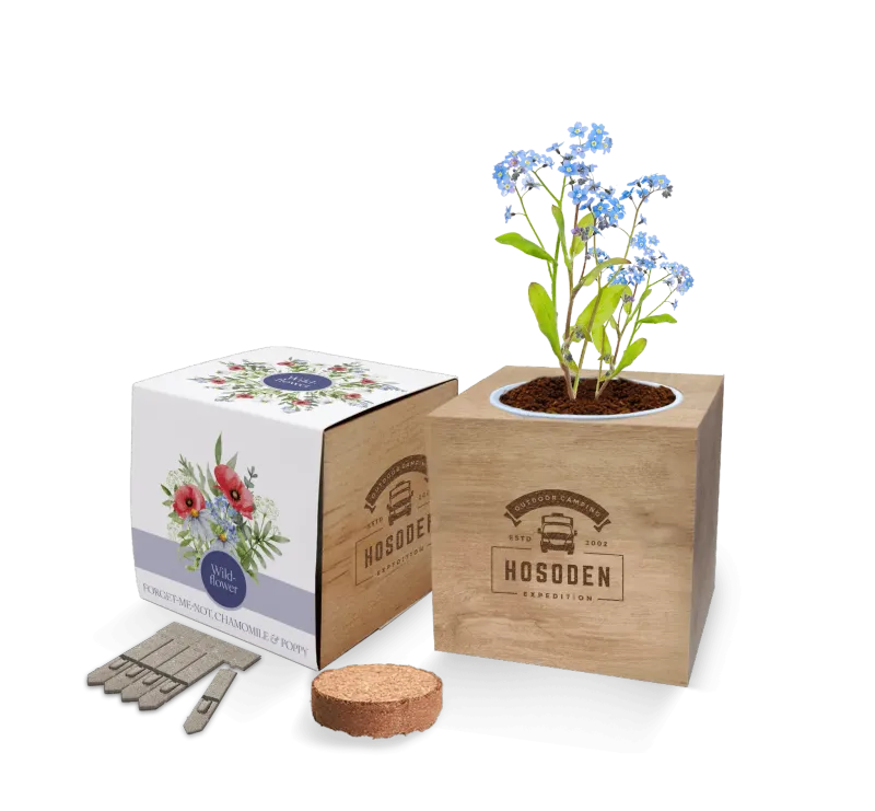 Essentials Desktop Seed Cube Gardens