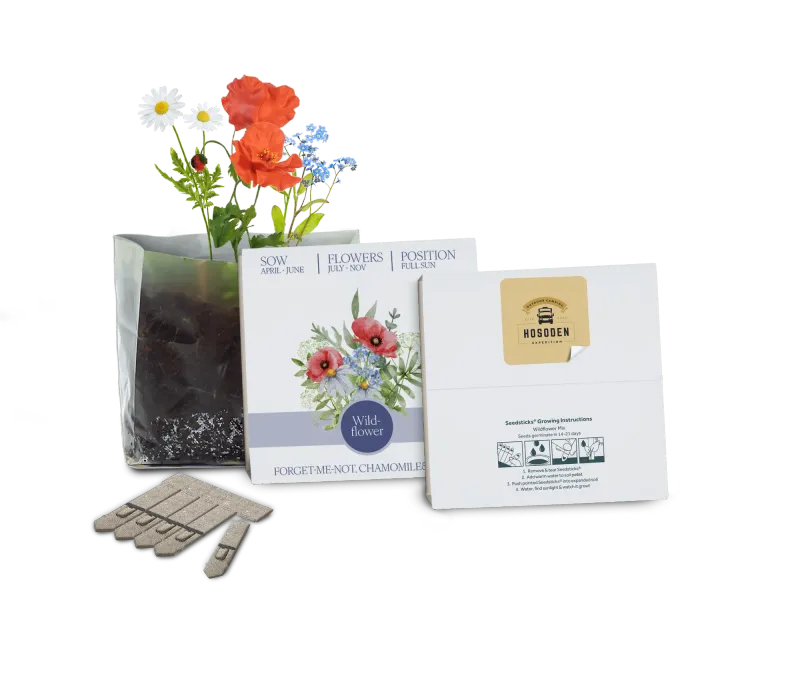 Essentials Letterbox Seed Gardens