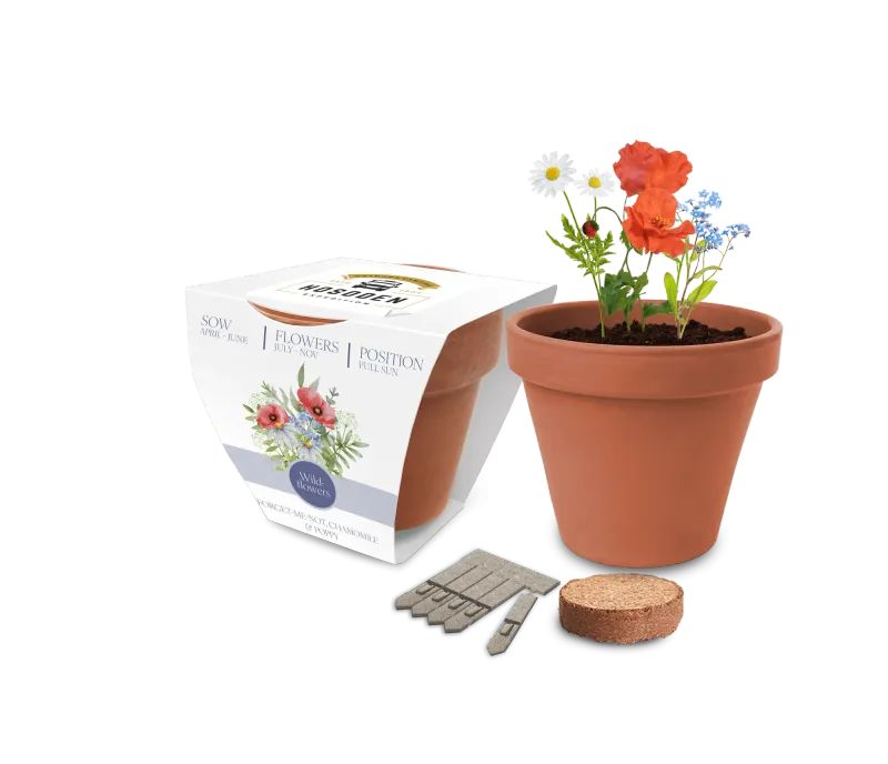 Essentials Clay Pot Seed Gardens