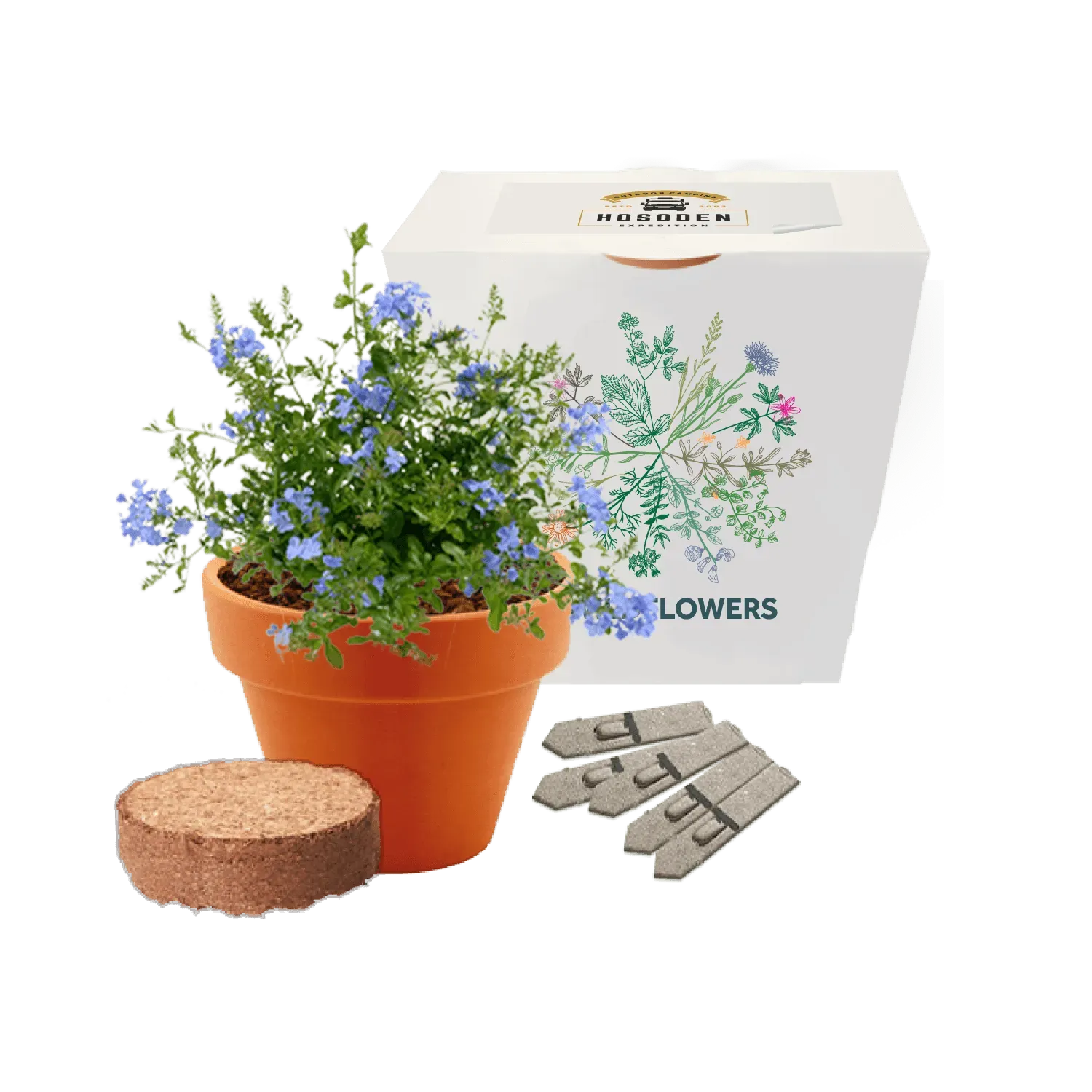 Express Clay Pot Seed Gardens