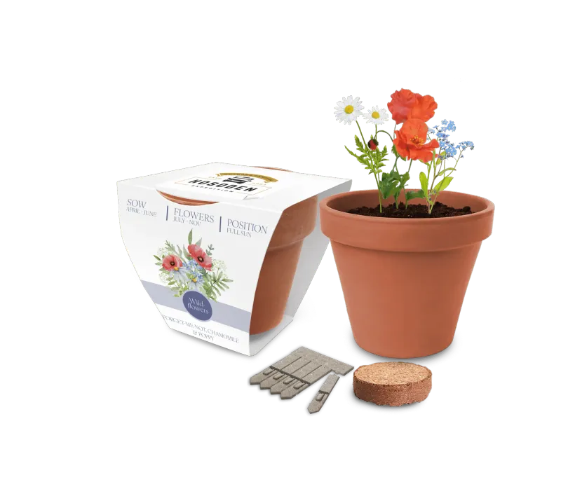 Super Express Essentials Clay Pot Seed Gardens