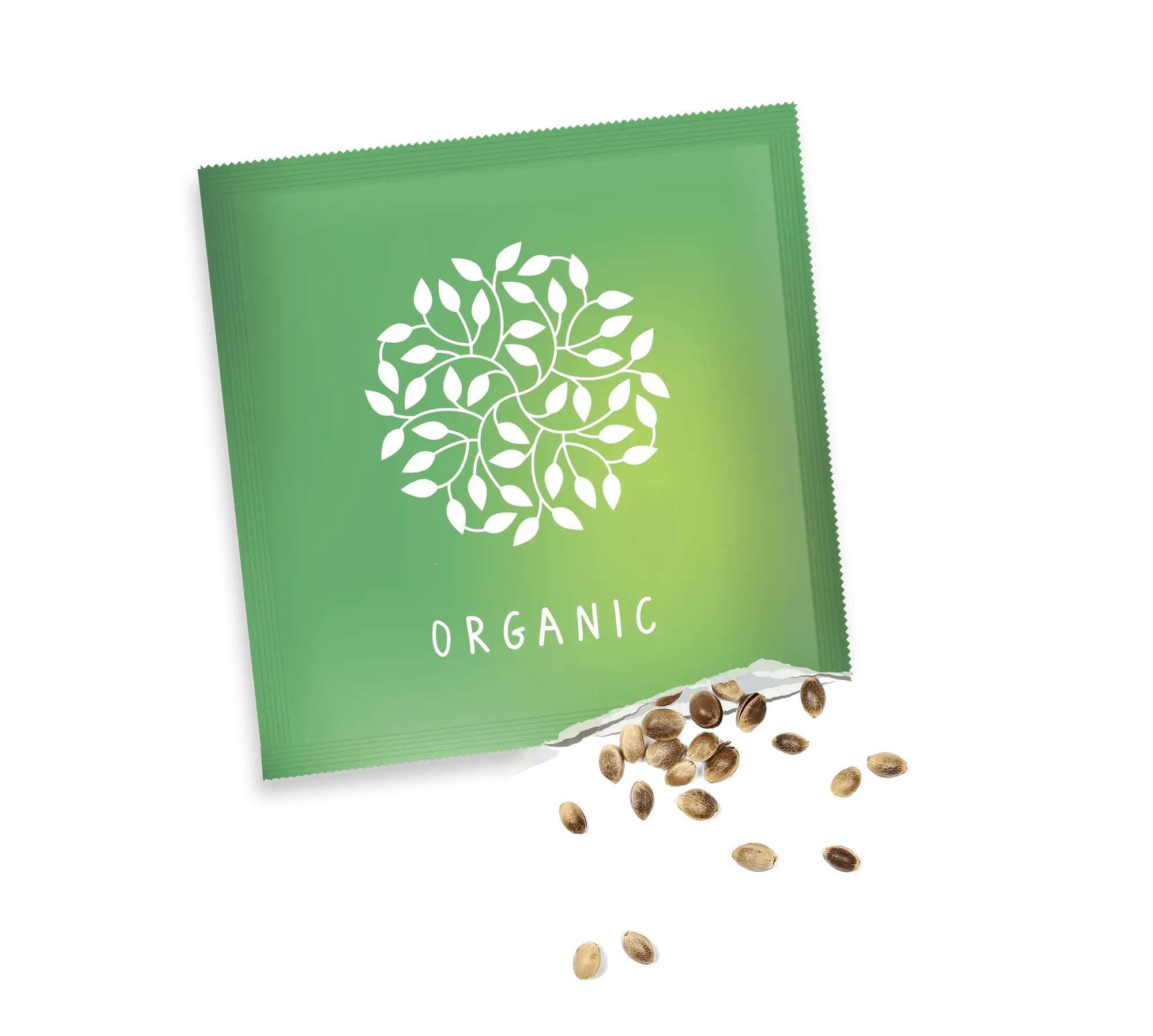 Small Seed Packets - Gloss (55 x 55mm)
