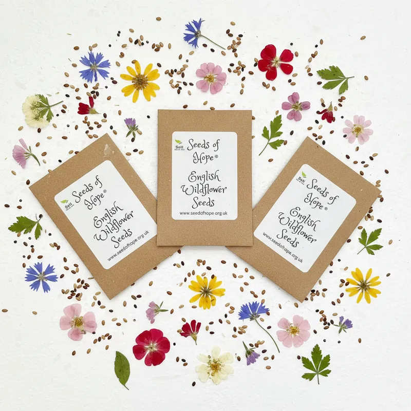 3 Packets Of English Wildflower Seeds Of Hope