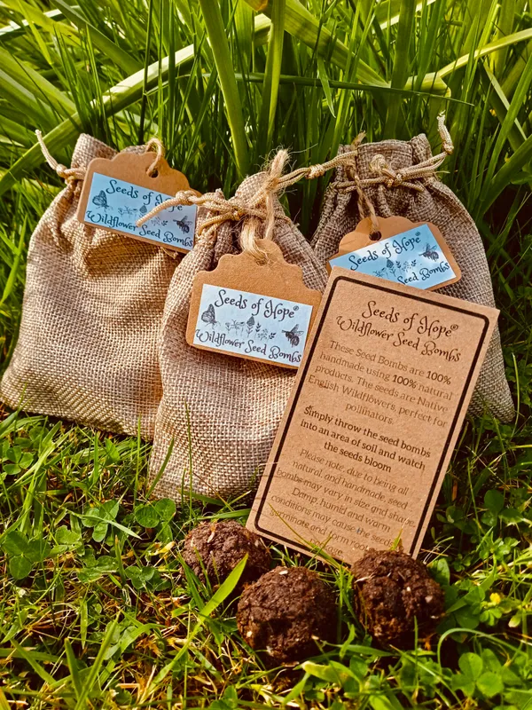 Wildflower Seed Bombs