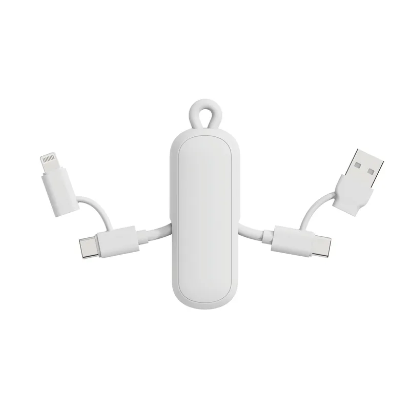Urban Vitamin Dublin 100W 4 -in-1 keychain cable
