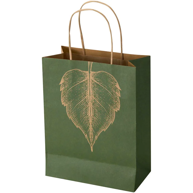 Kraft 120 g/m2 paper bag with twisted handles - 18 x 9 x 23 cm