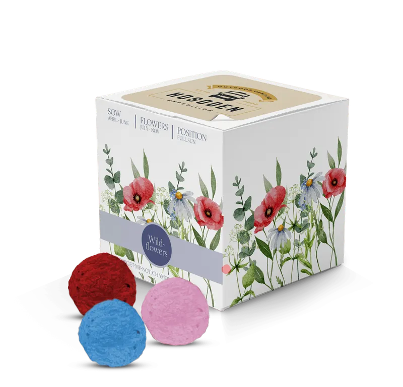 Express Rainball Seed Cubes